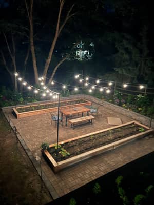 Garden at Night