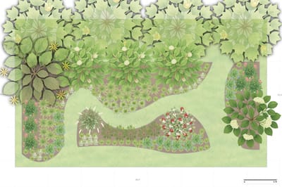 Illinois Woodland Garden