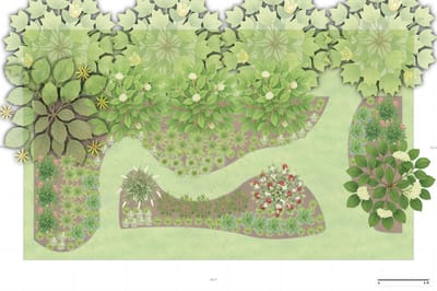 Illinois Woodland Garden