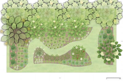 Illinois Woodland Garden
