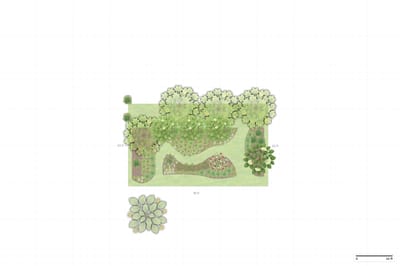 Illinois Woodland Garden