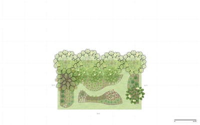 Illinois Woodland Garden
