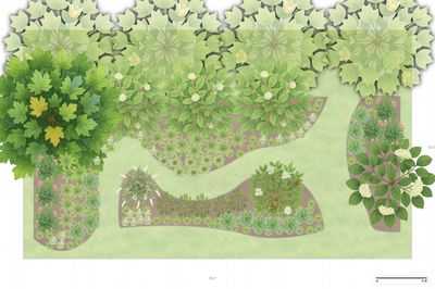 Illinois Woodland Garden