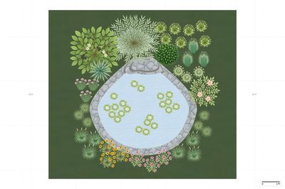Backyard Pond Landscaping
