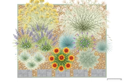 Colorado Curbside Garden