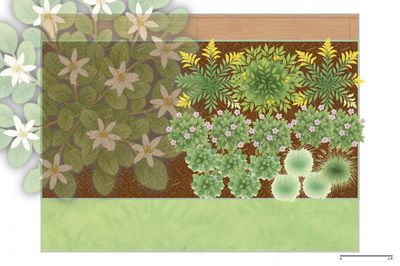 Toronto Part-Shade Backyard Garden