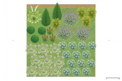 New Hampshire - Summer Pollinator Garden