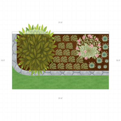 Florida Border Garden