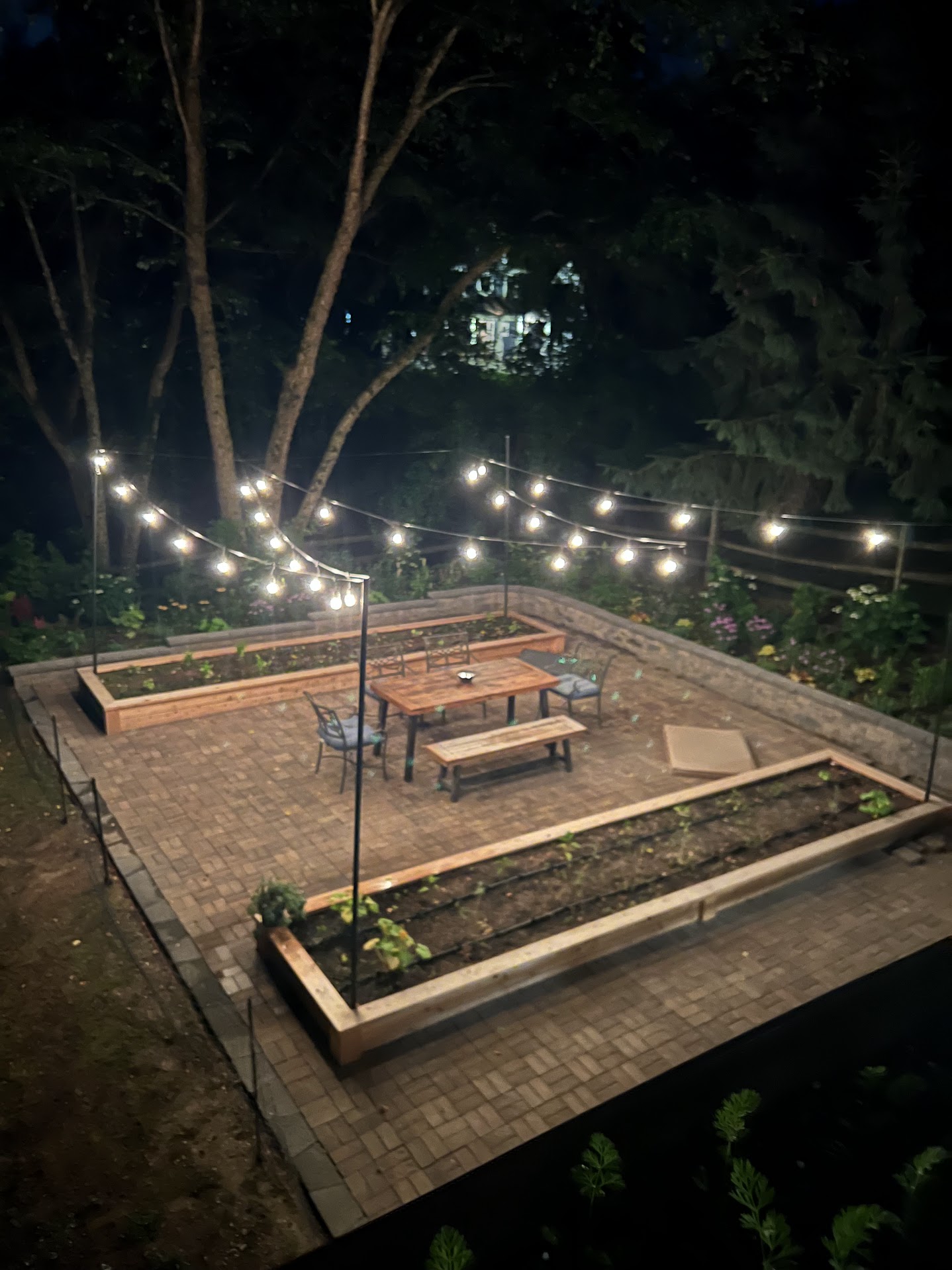 Garden at Night